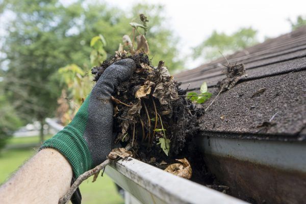 GUTTER CLEANING near me CARTERET COUNTY NC